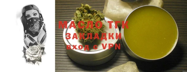 индика Мегион